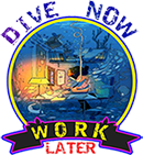 Dive Now Work Later logo